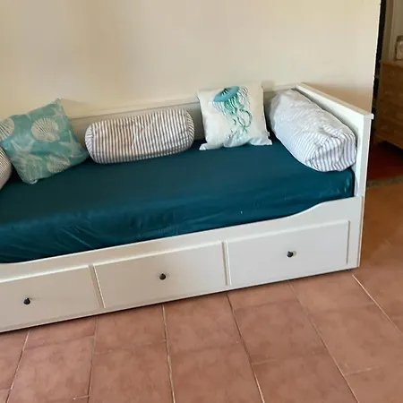Sa Jaga Brujada *